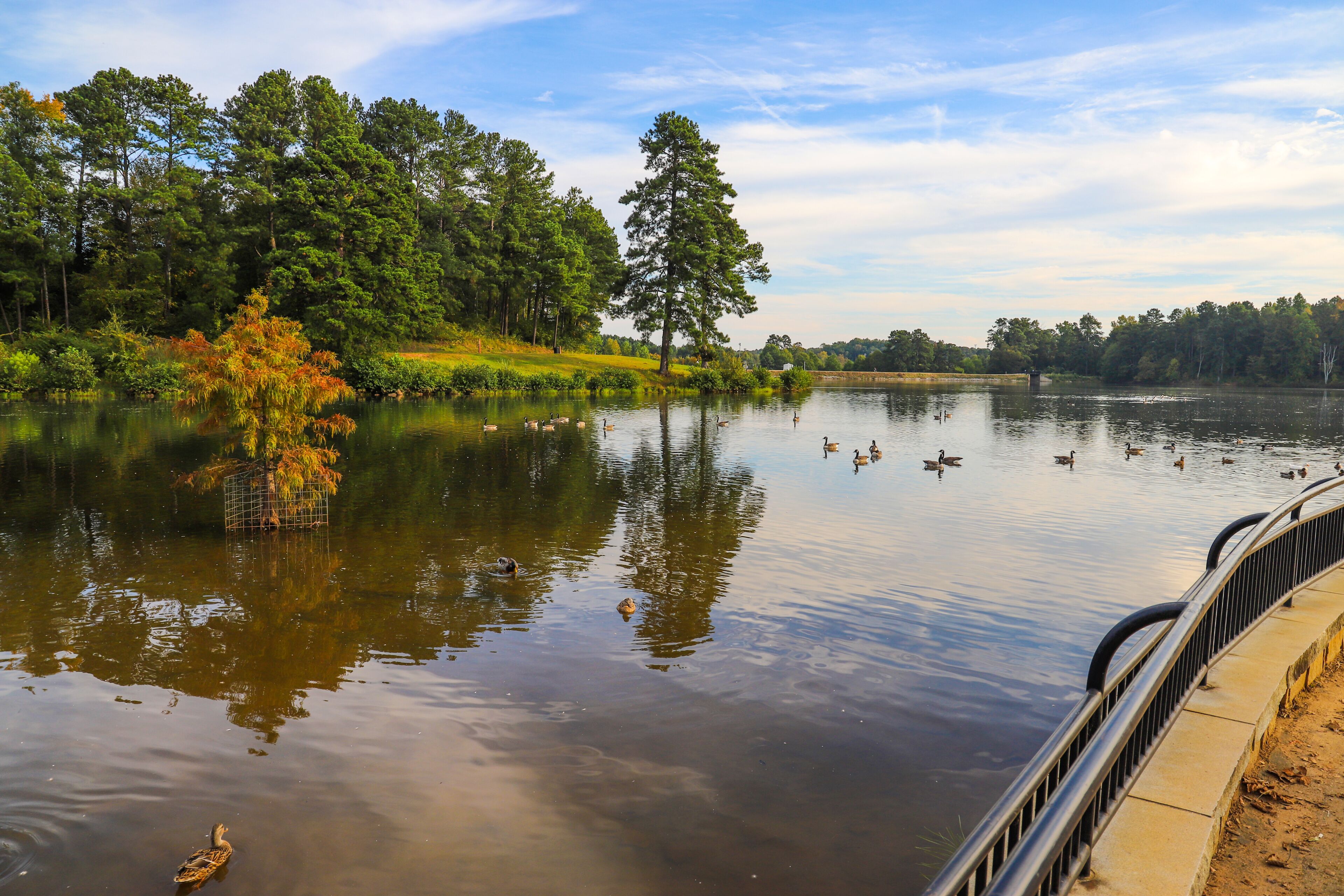 ローレンスヴィル