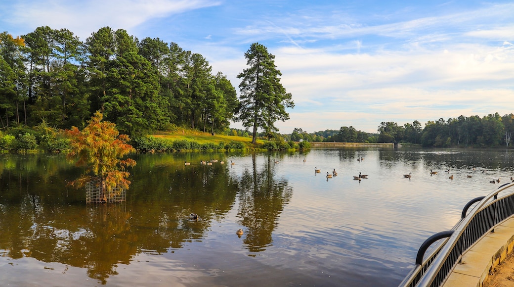 ローレンスヴィル