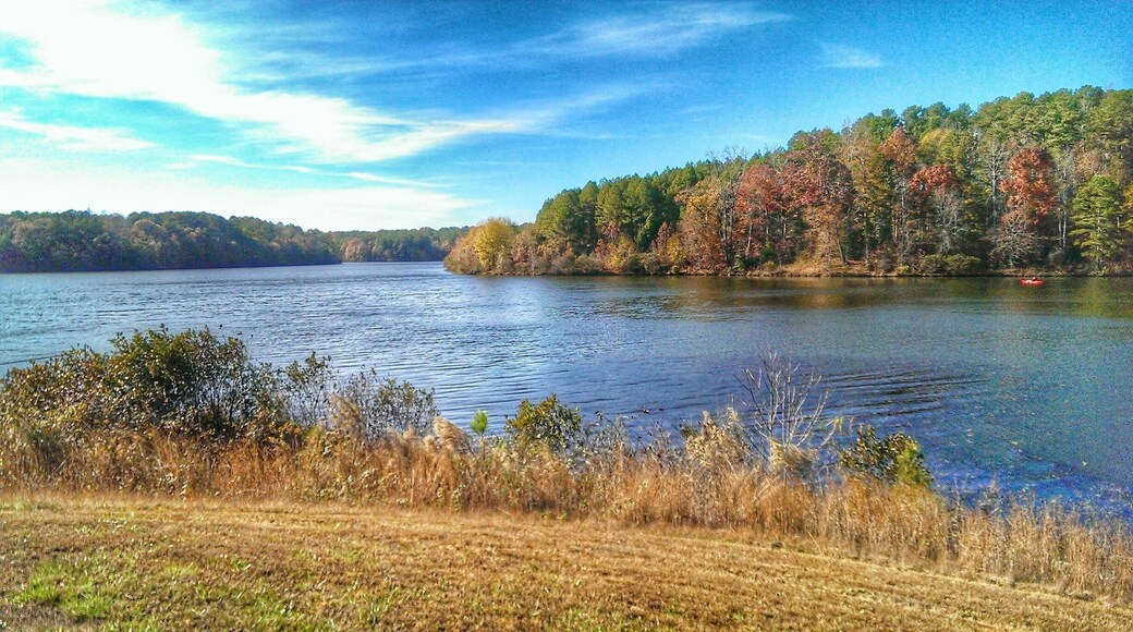 Gorgeous view in the autumn