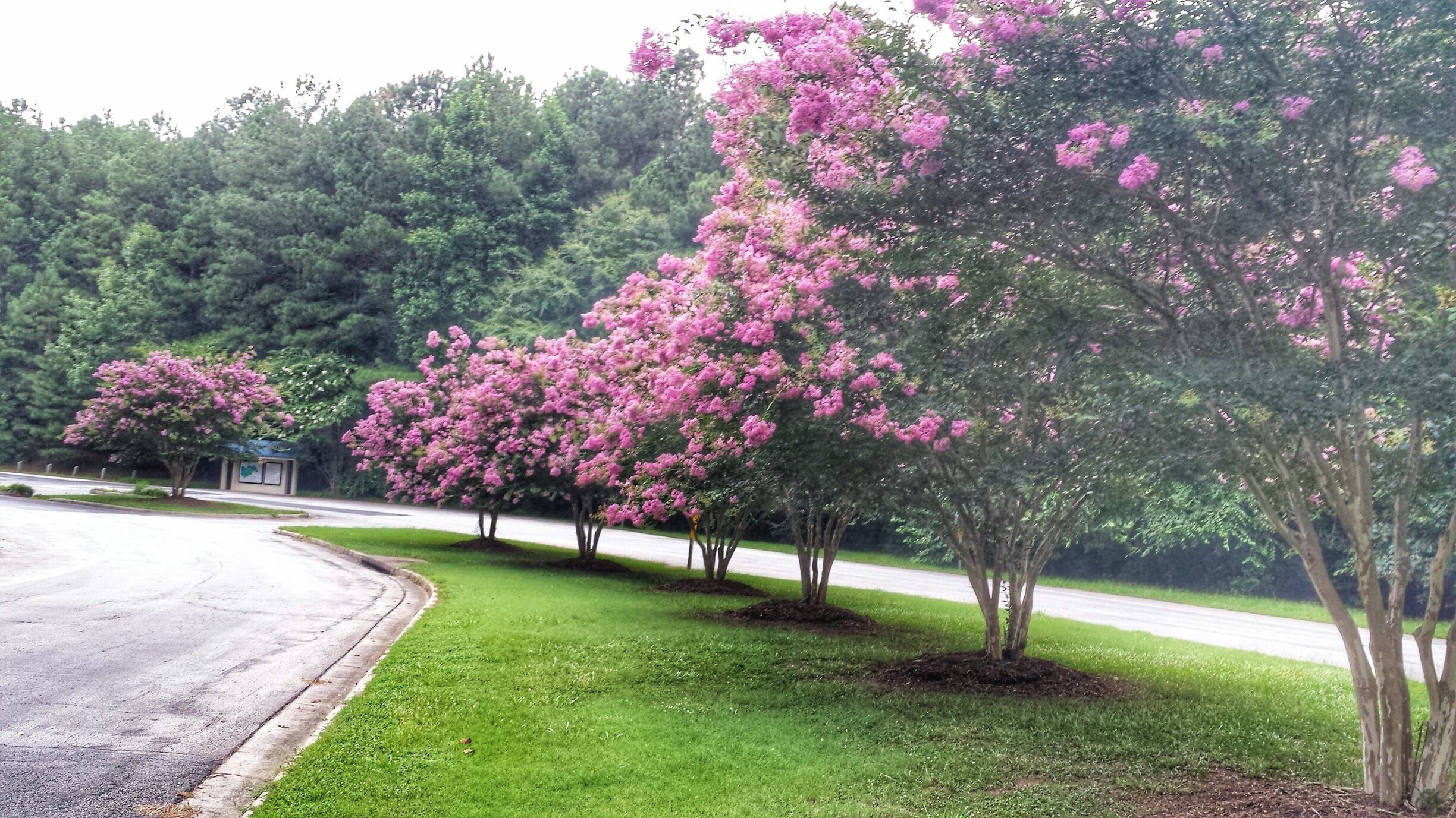 Welcoming entrance...very nice park with lots of trails 