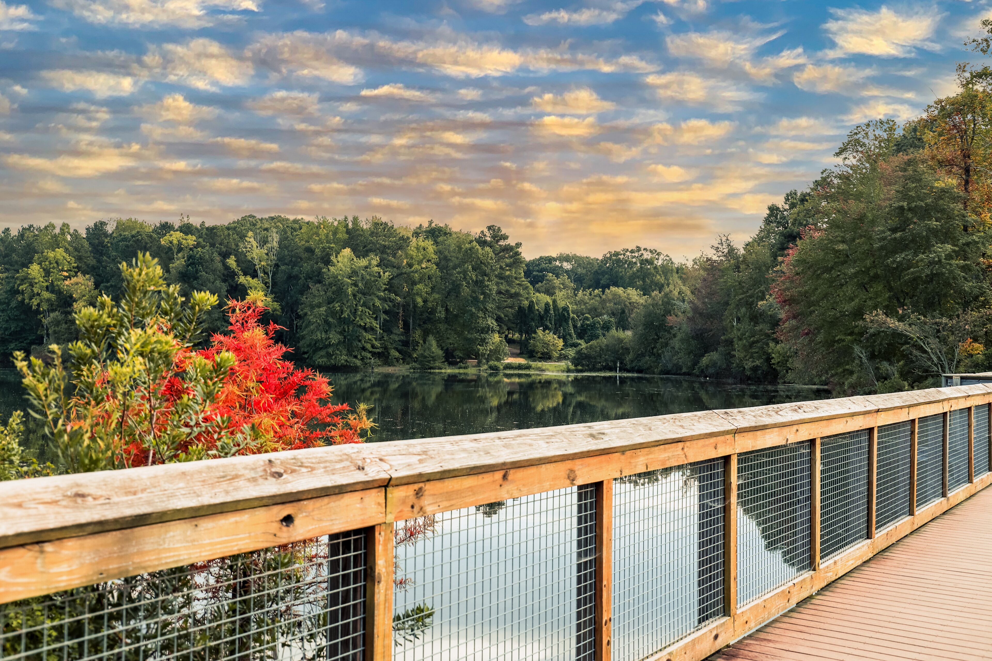 a stunning shot of a wooden bridge over a lake with lush green and autumn colored trees reflecting off the lake at sunset at Rhodes Jordan Park at Lawrenceville Lake in Lawrenceville Georgia USA