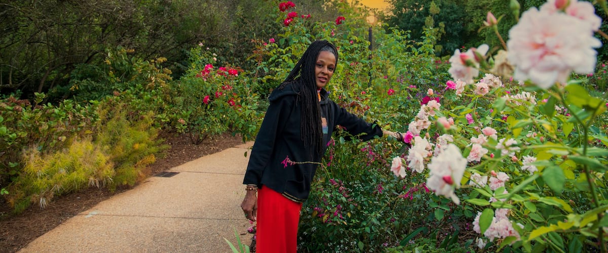 A garden with a variety of flowers and a path.