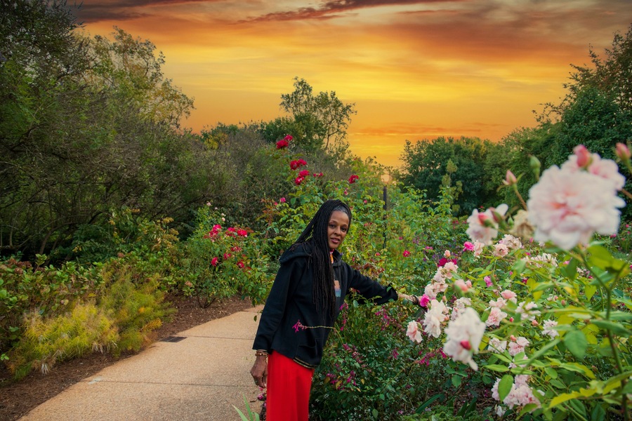 Un jardín con diversas flores y un sendero.