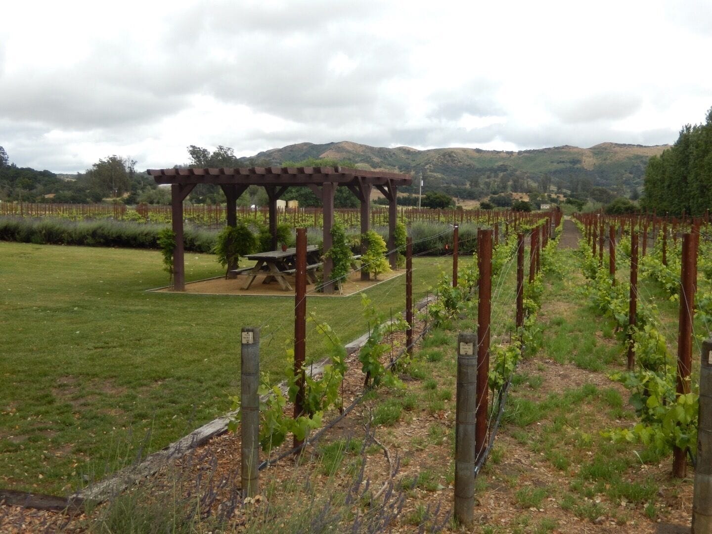 Melville Winery (05/2017)