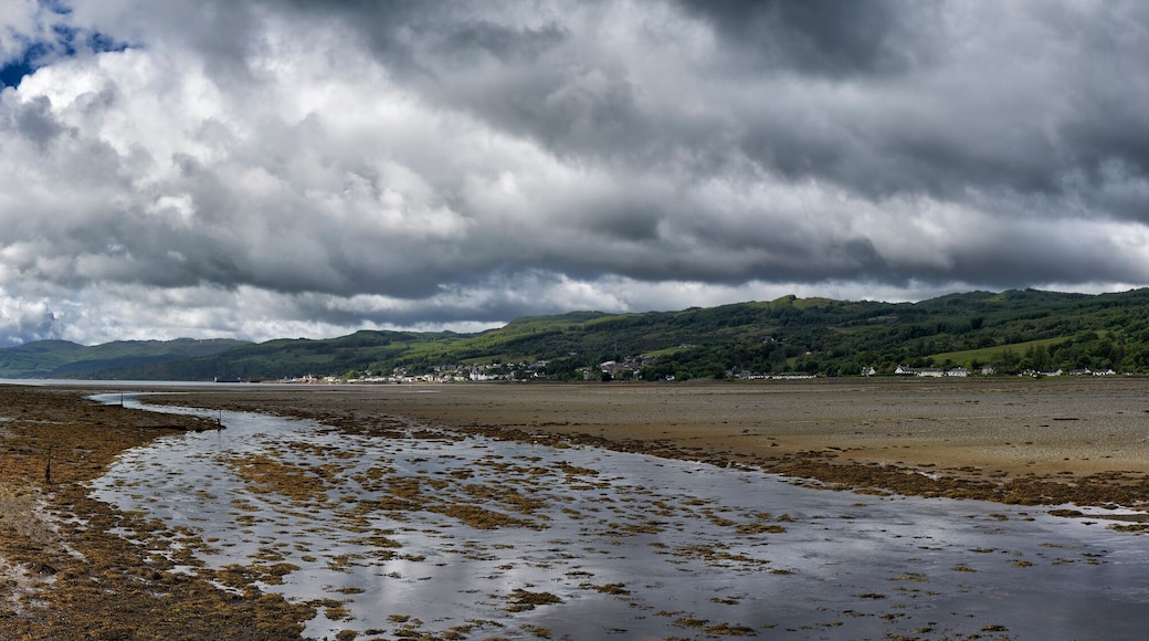 لوشجيلبهيد