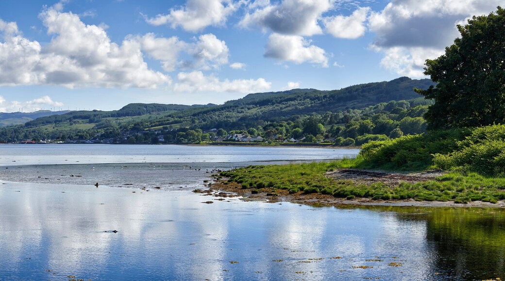 لوشجيلبهيد