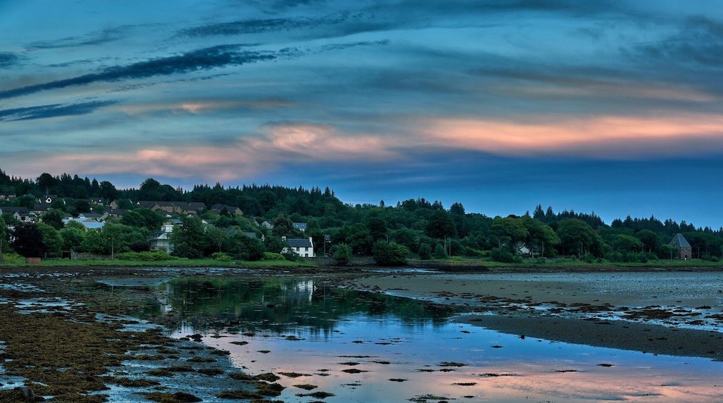 لوشجيلبهيد