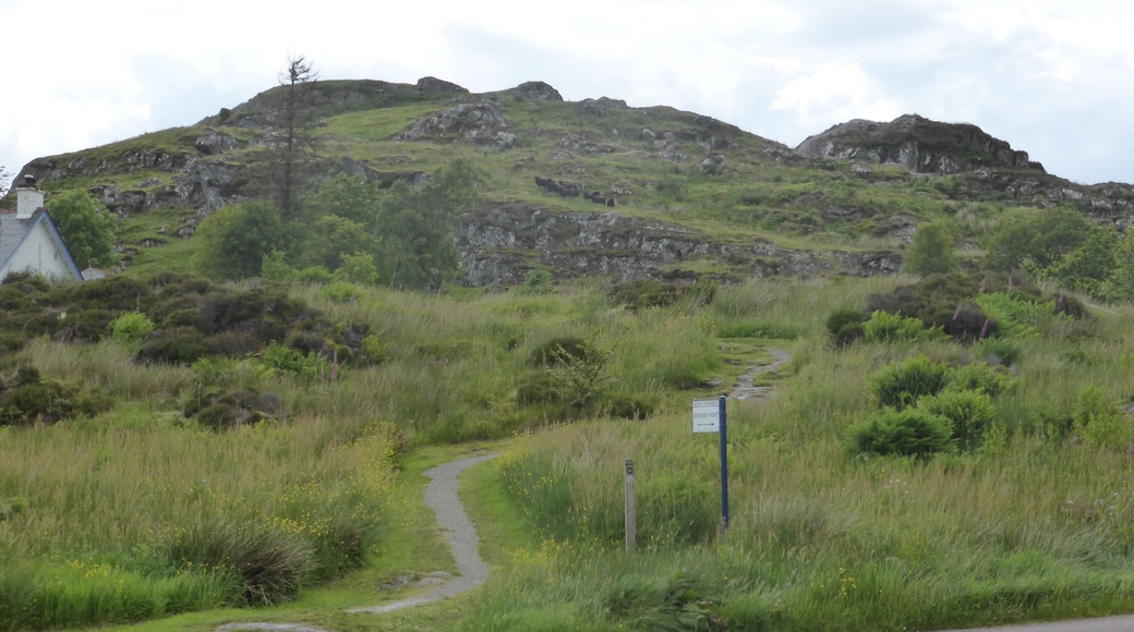 Atlas of Hillforts 2466. General view of the approach path.