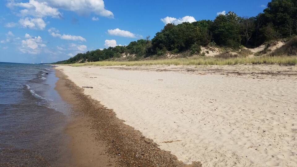 A sandy beach with gentle waves, a clear sky, and a forested hill in the background.