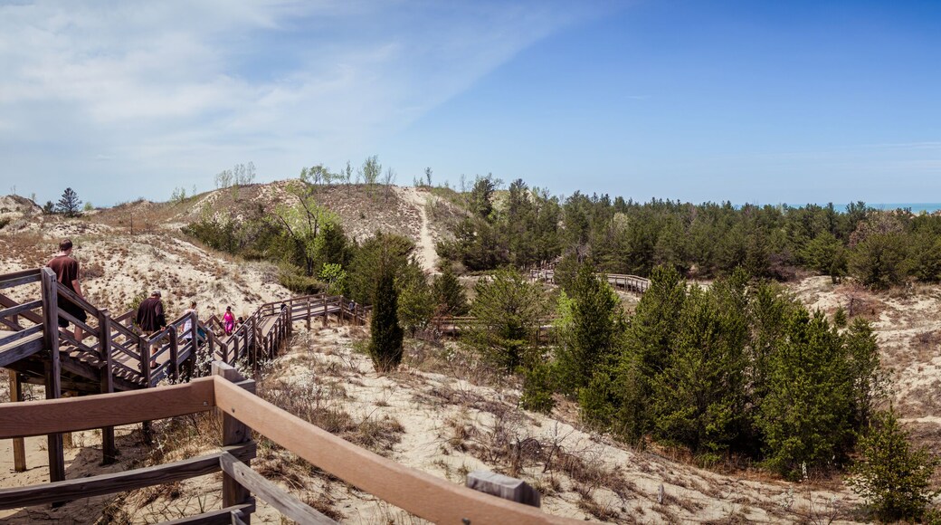 Panoramic view of dunes at Indiana Dunes National Park