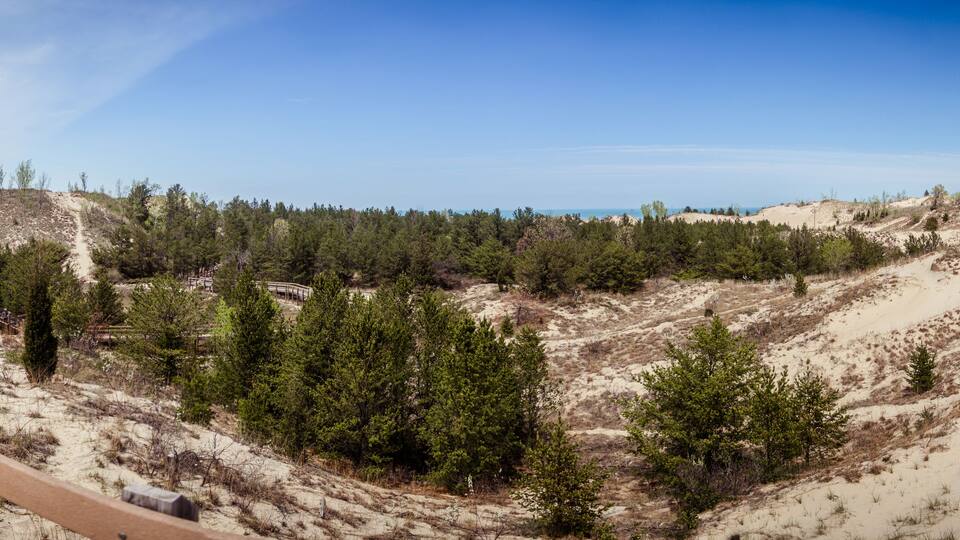 A sandy beach with a wooden walkway and dense green trees.