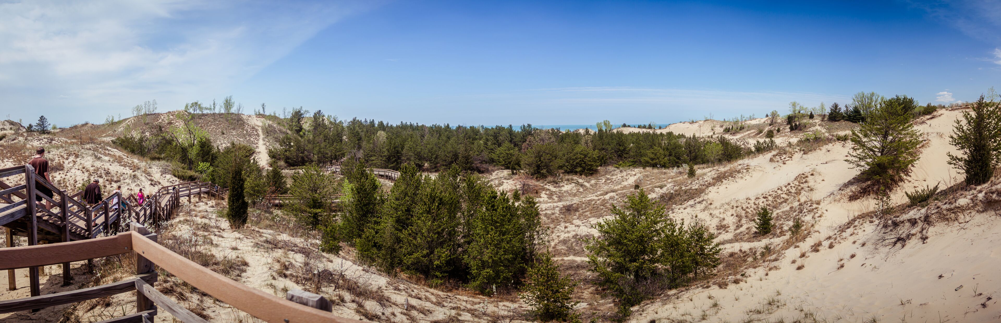 A sandy beach with a wooden walkway and dense green trees.