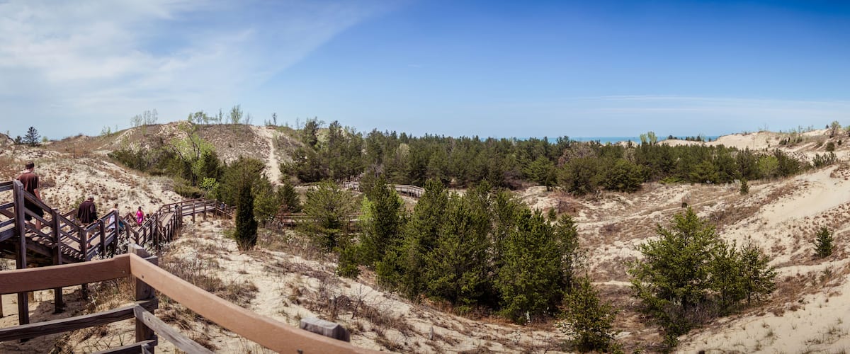 A sandy beach with a wooden walkway and dense green trees.
