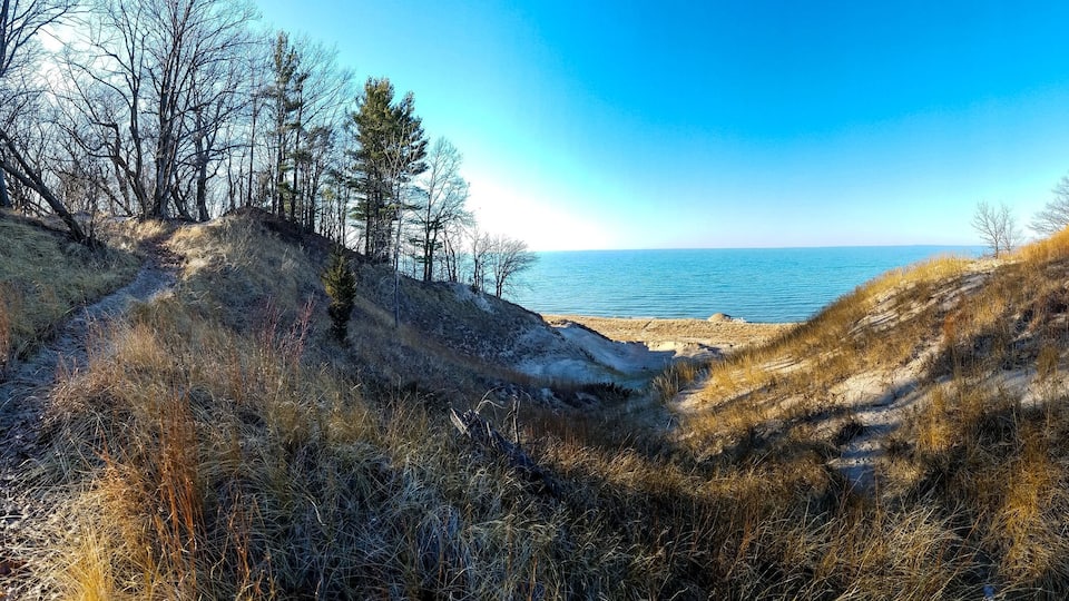 A coastal landscape with a sandy beach, dry grass, and trees.