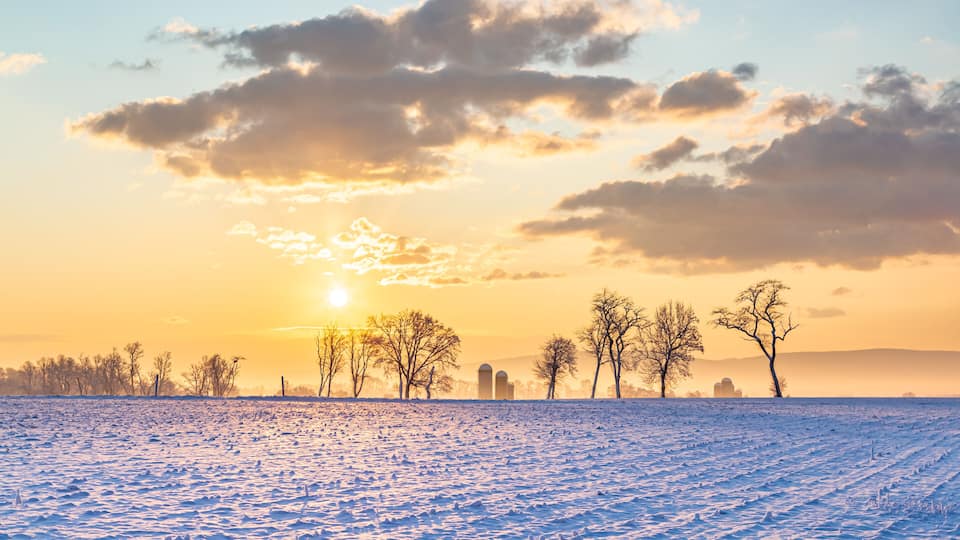 A snow-covered field with a sunset, bare trees, and distant buildings.