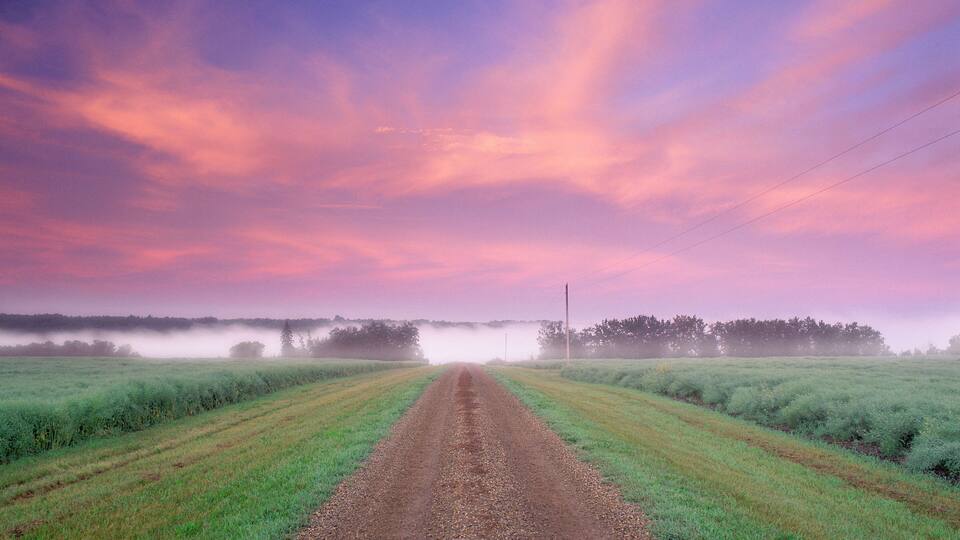 A rural landscape with a dirt road leading through fields, a misty forest in the distance, and a colorful sky.