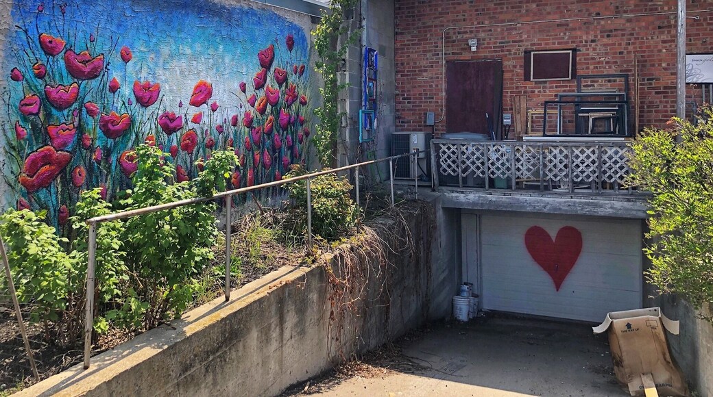 Mural in the backlane entrance of a picture framing shop in Downtown Leduc.