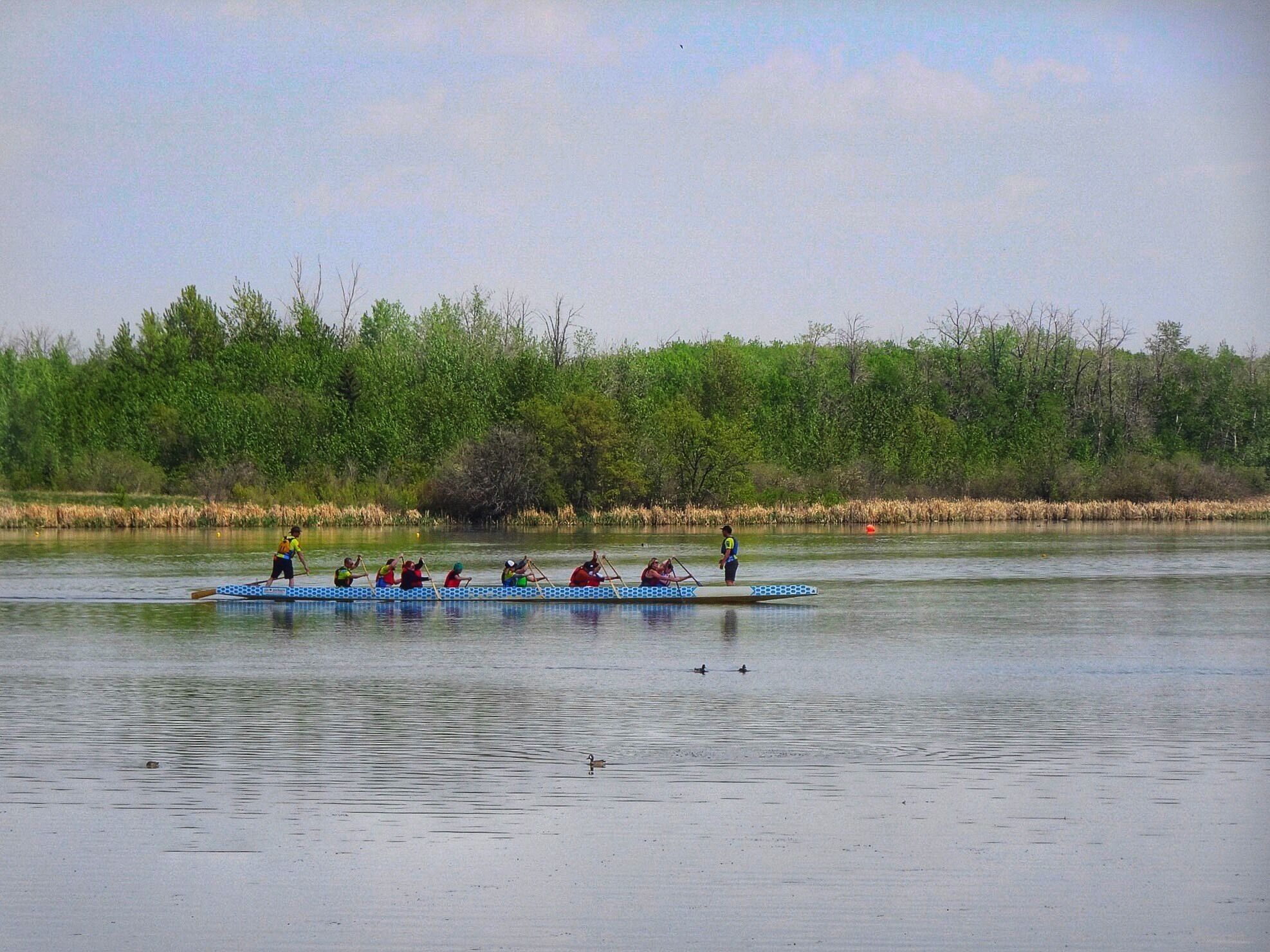 Practising for dragon boat racing at Telford Lake, which is a long narrow lake suitable for all types of paddling. (May 2019)