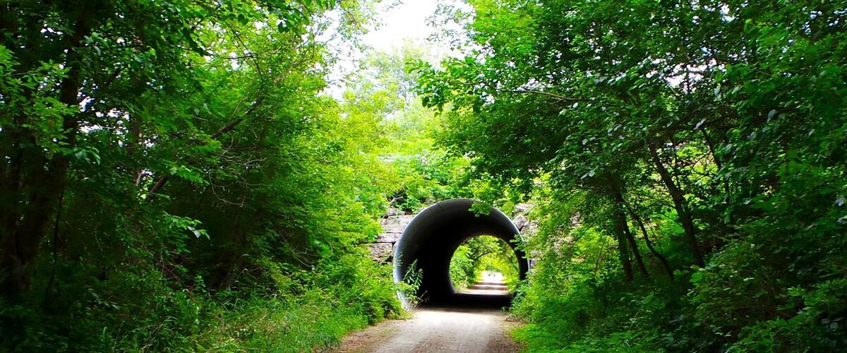 On the #GlacialDrumlinTrail there are many unique things to see. #Nature. Great trail for #Hiking, #Biking & Adventure #WeekendGetAway Part of my South Central #Wisconsin album on Facebook.