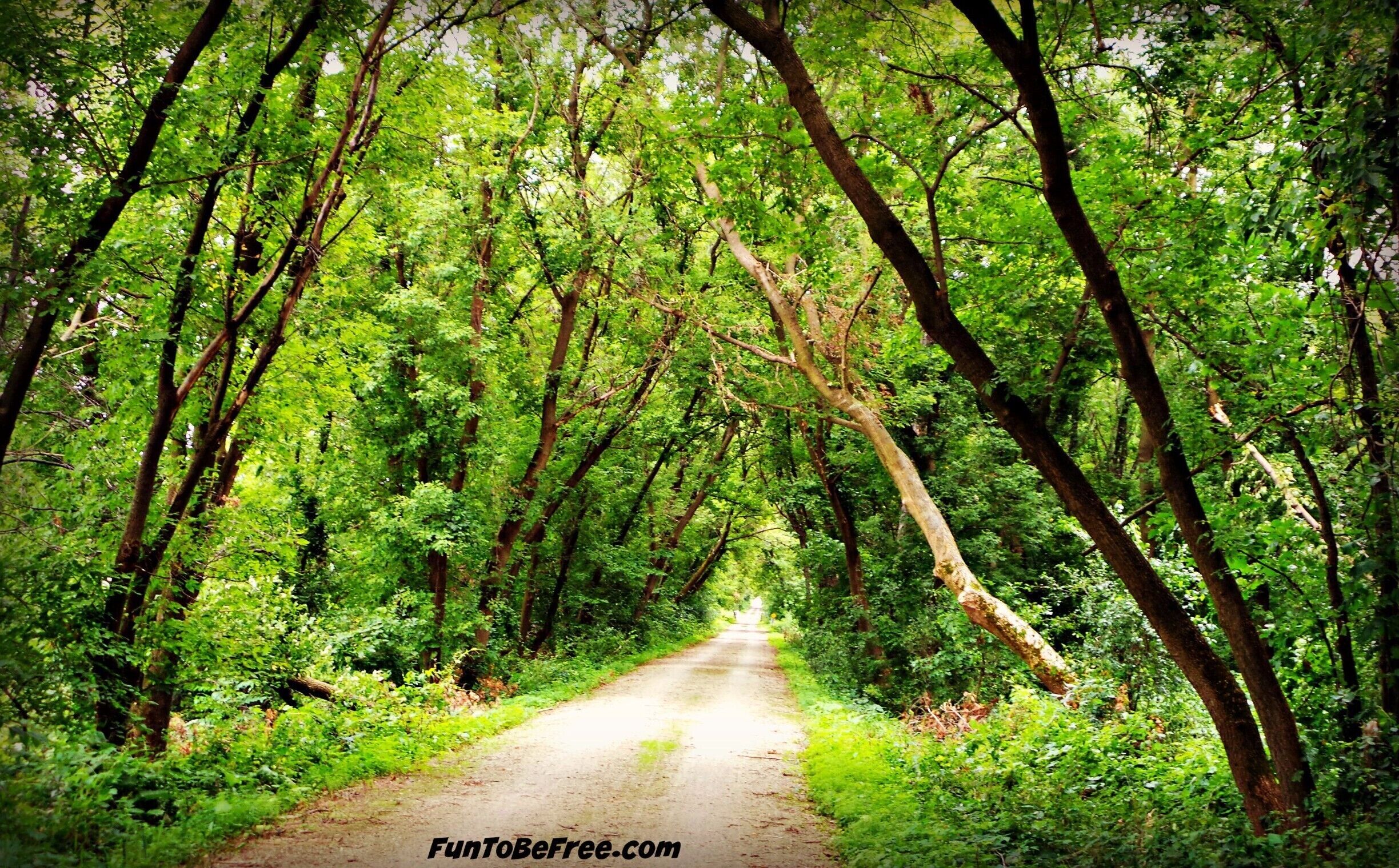 40 miles of the trail I road was easy on ‪#‎GlacialDrumlinTrail‬  Beautiful all around. ‪#‎Hiking‬ & ‪#‎Biking‬ ‪#‎WeekendGetAway‬ Part of my South Central Wisconsin album on Facebook.