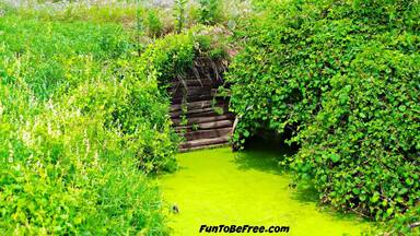 On the #âGlacialDrumlinTrail⏠if you take your time you see some interesting finds. Like this old bridge overgrown by #Nature.
Great trail for âȘ#âHiking⏠& âȘ#âBiking⏠âȘ#âWeekendGetAway⏠Part of my South Central Wisconsin album on Facebook.