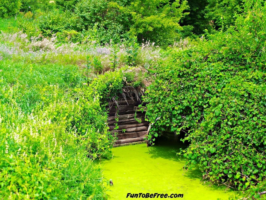 On the #GlacialDrumlinTrail if you take your time you see some interesting finds. Like this old bridge overgrown by #Nature.
Great trail for #Hiking & #Biking #WeekendGetAway Part of my South Central Wisconsin album on Facebook.