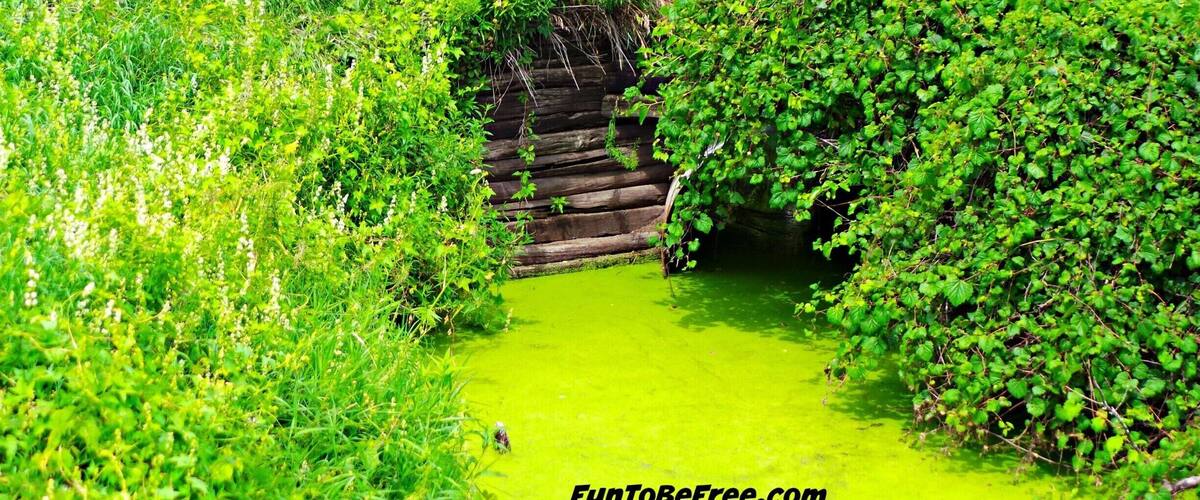 A lush green landscape with a wooden bridge over a small stream.