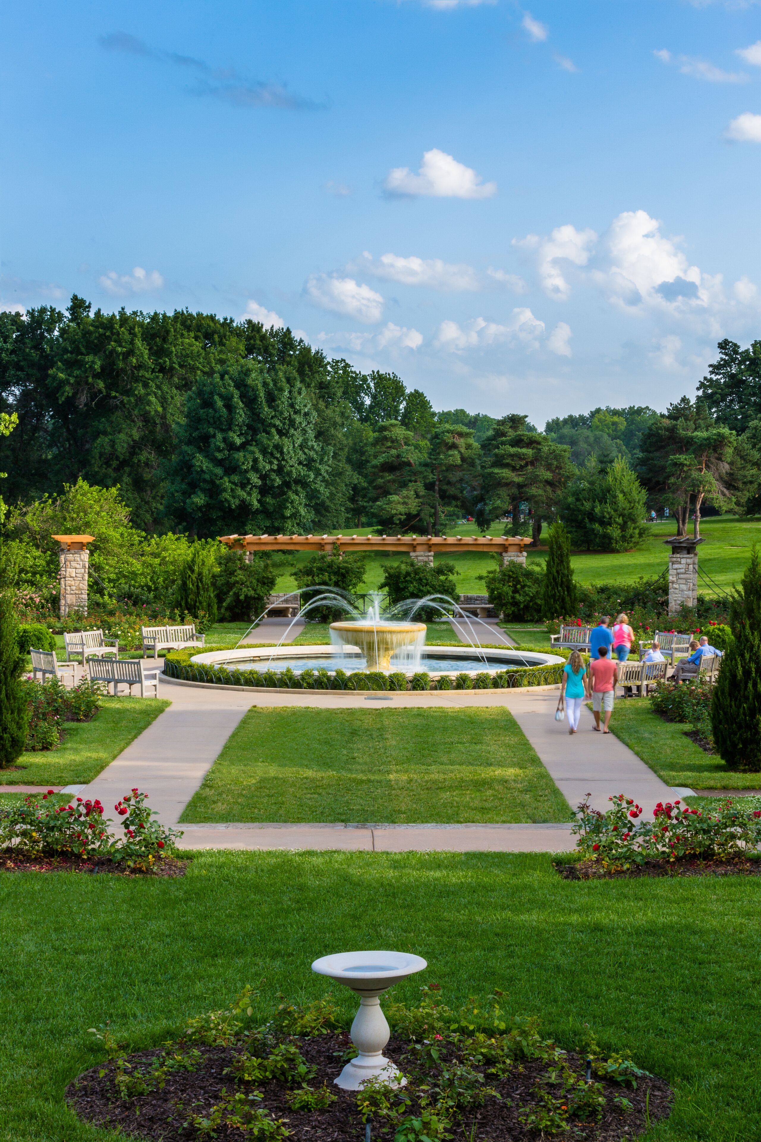 beautiful park with a fountain