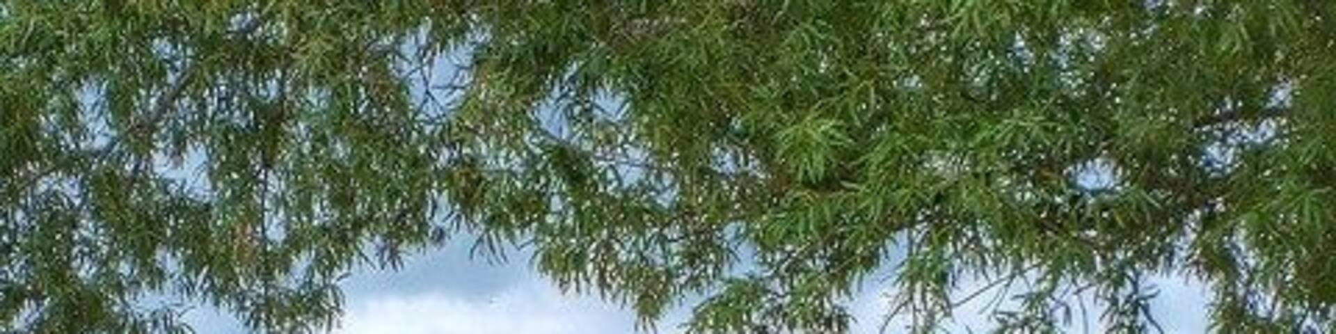 Peaceful, scenic revolutionary war historic site. This 107 acre park has several historic homes on the property, set up as museums. If you love history, architecture, and wouldn't mind some quite- this is an excellent place to come. It's only $5.00 for adults under 65. They are open Tuesday-Saturday 10am-5pm and Sundays 1pm-5pm.