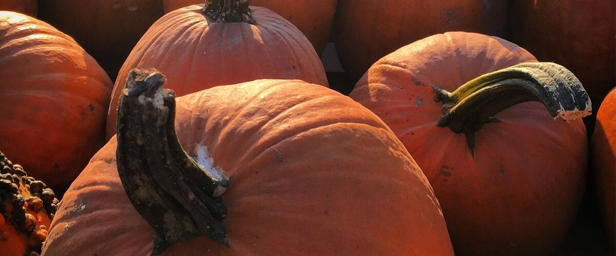 Love this time of year ❤️