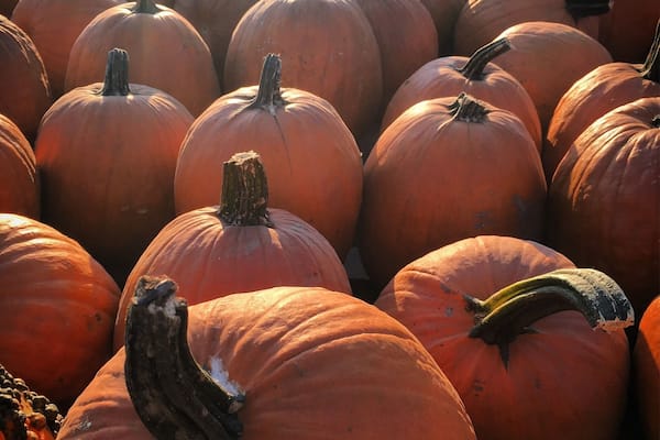 Love this time of year ❤️