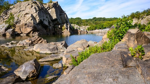 Falls Church