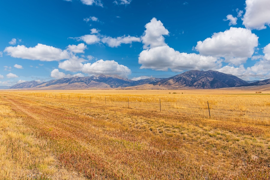 A vast open field with a fence, a mountain range in the distance, and a clear blue sky with clouds.