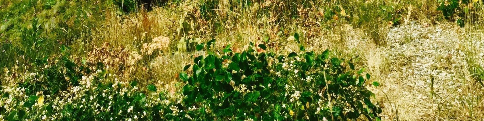 On the right side of the road to Yellow stone national park was this specular view..