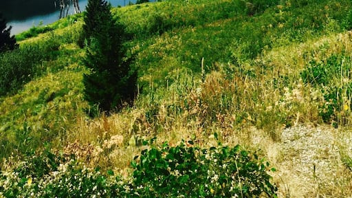 On the right side of the road to Yellow stone national park was this specular view..