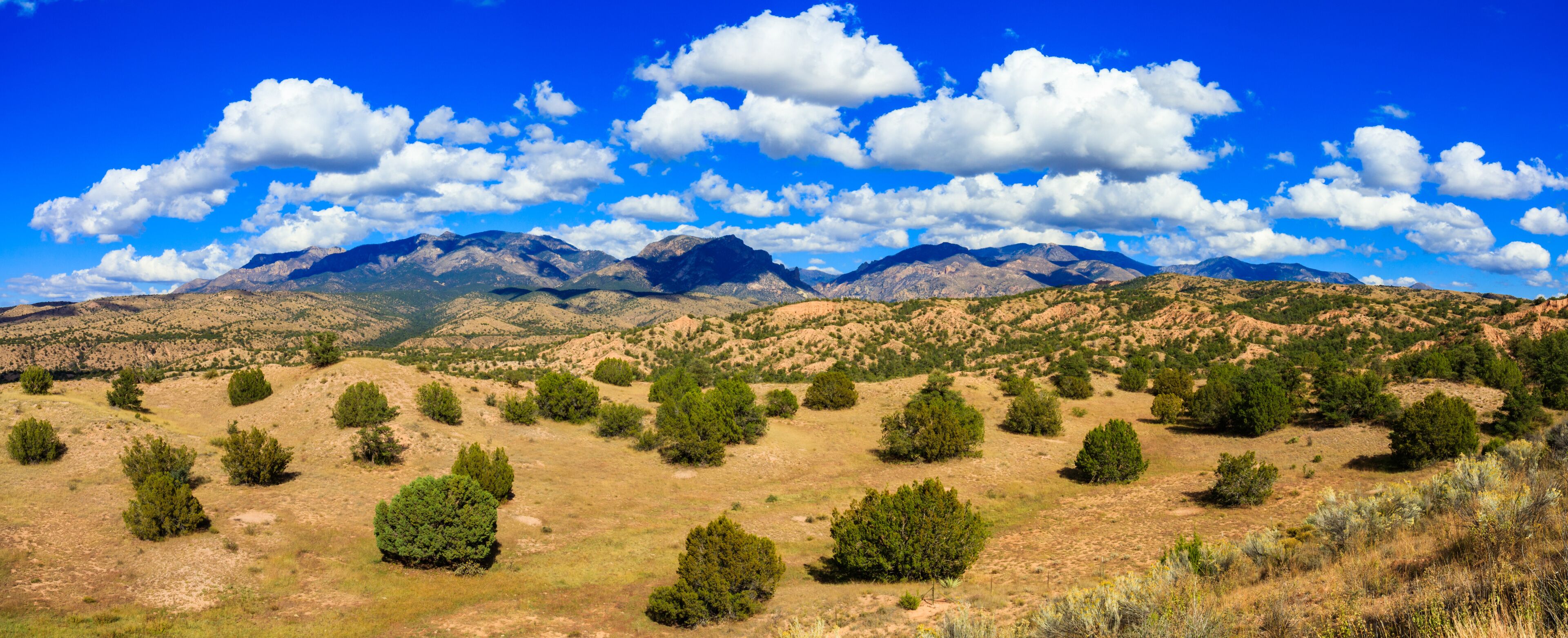 A mountainous landscape with scattered green trees and a clear blue sky.