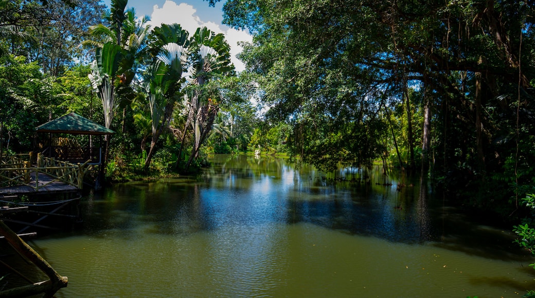 Southeast Asia, tourist attractions, Malaysia, Borneo, Sabah, Sandakan, inland rivers