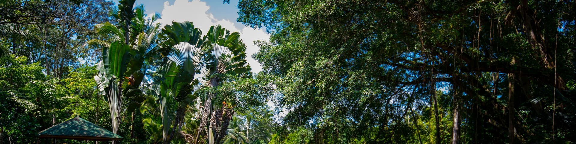 Southeast Asia, tourist attractions, Malaysia, Borneo, Sabah, Sandakan, inland rivers