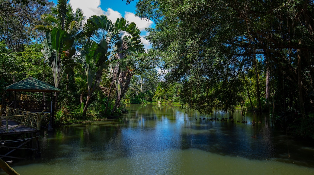 Southeast Asia, tourist attractions, Malaysia, Borneo, Sabah, Sandakan, inland rivers