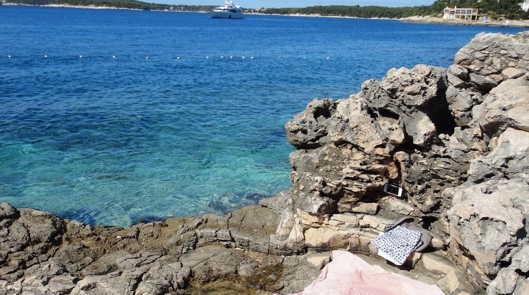 My own piece of paradise for the day 😎