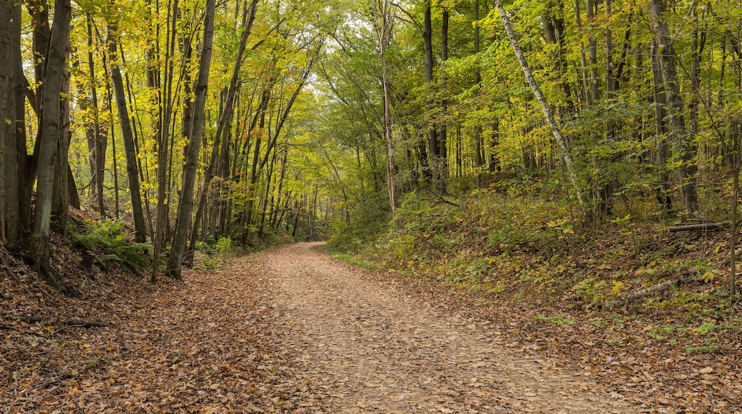 Elroy Sparta State Trail
