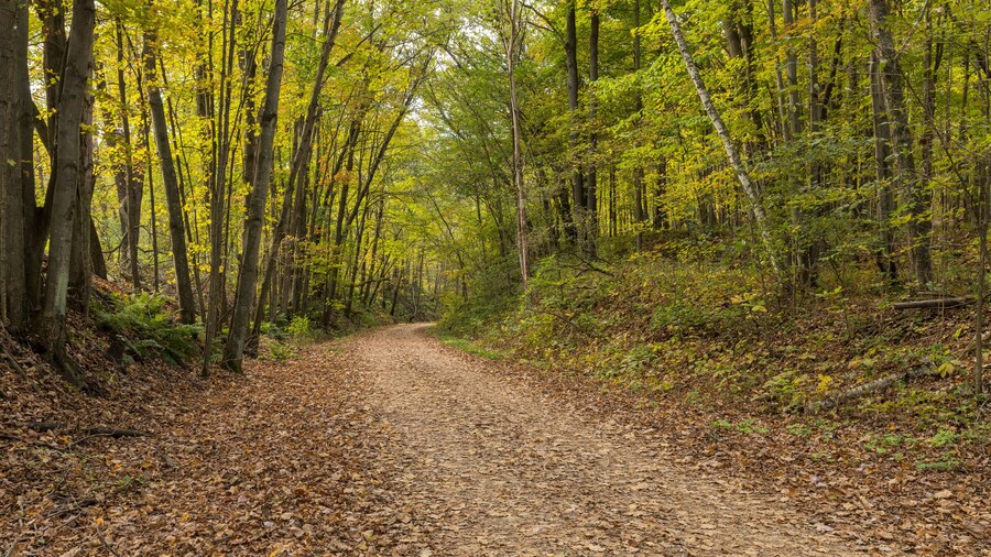Elroy Sparta State Trail