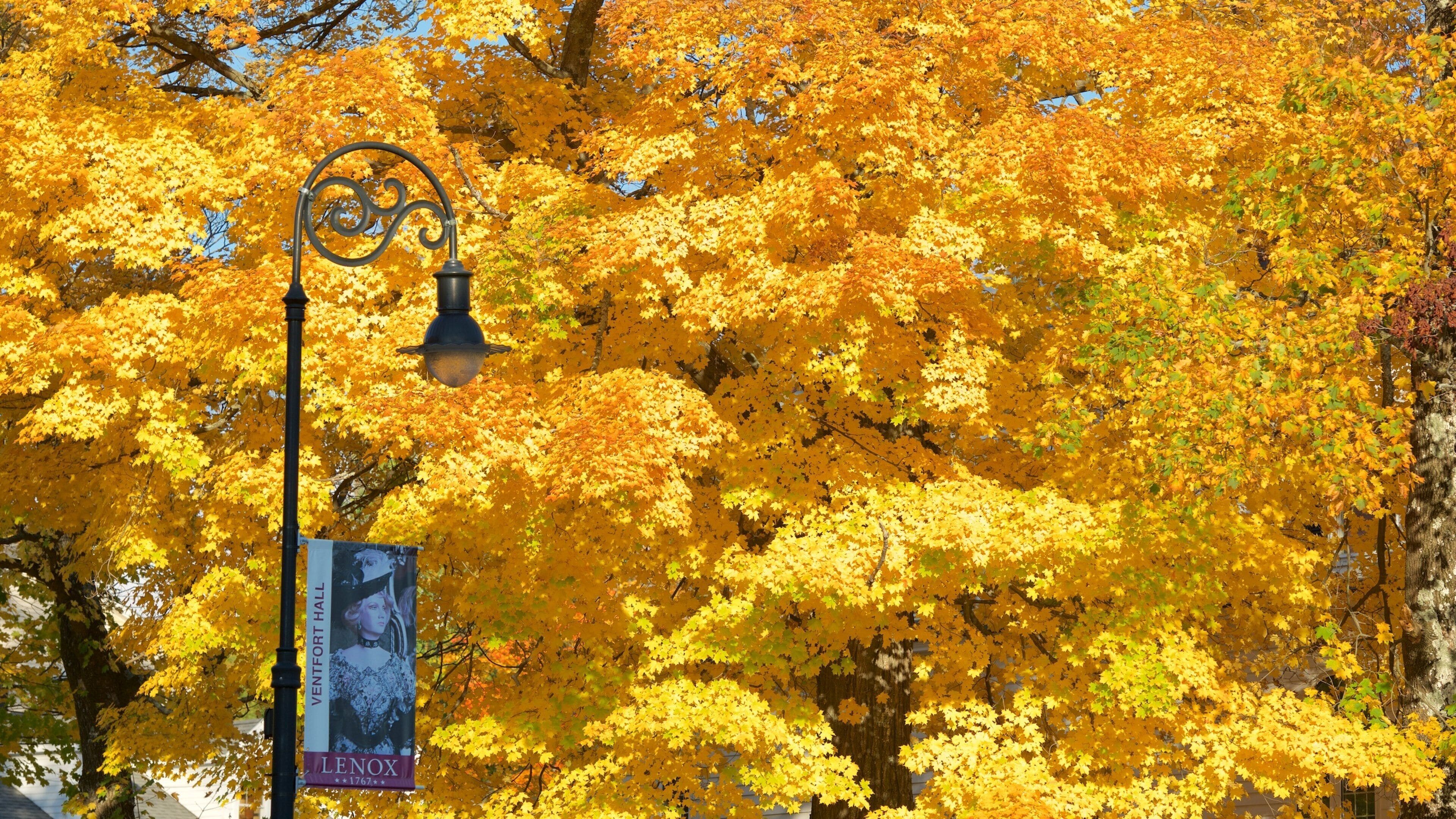 Lenox which includes fall colors