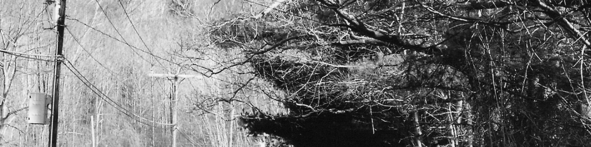 A road near Tanglewood. Driving through the Berkshires is never a disappointing #roadtrip