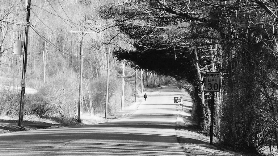 A road near Tanglewood. Driving through the Berkshires is never a disappointing #roadtrip