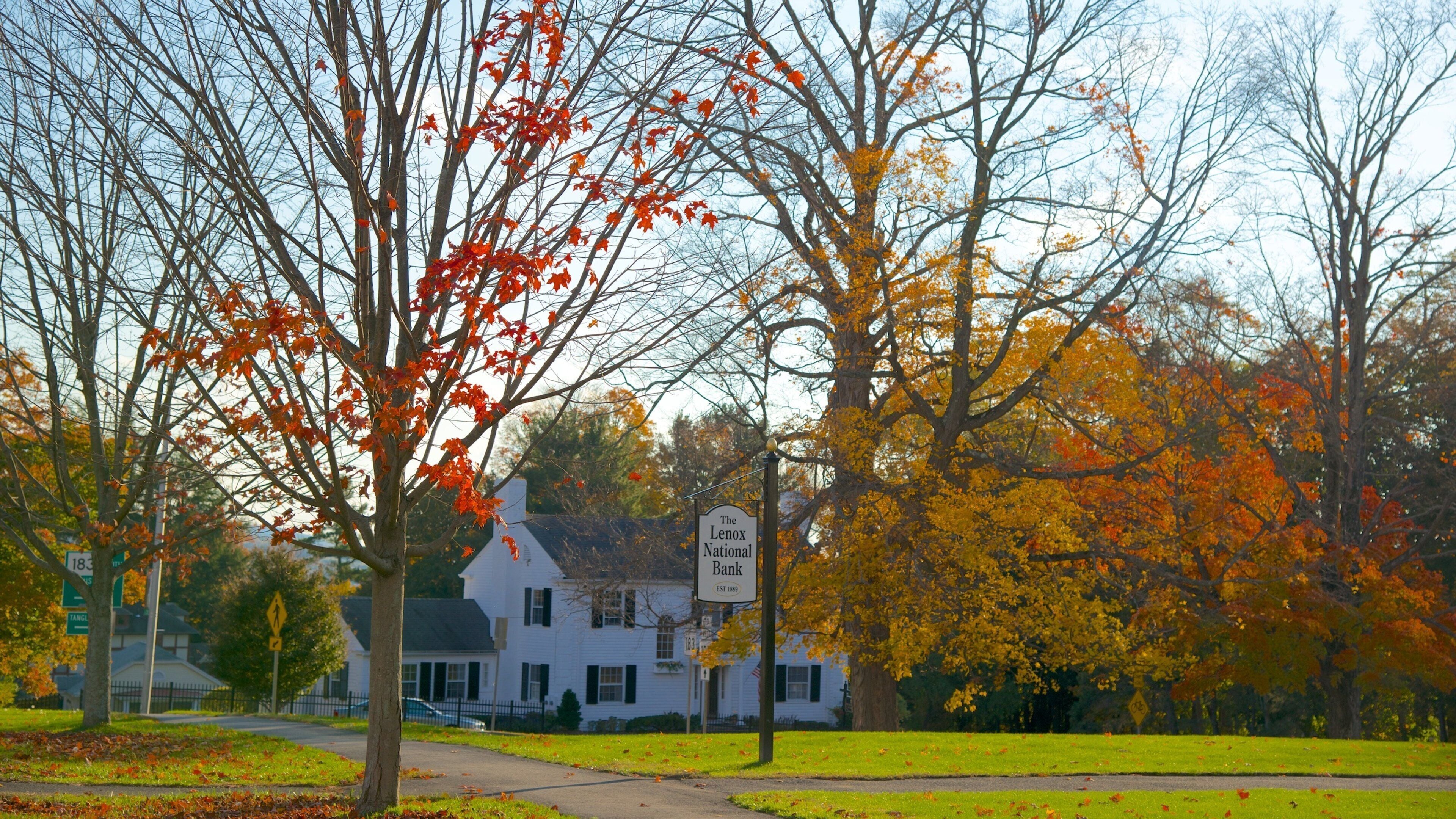 Lenox ofreciendo un parque y hojas de otoño