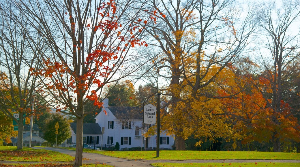 Lenox ofreciendo un parque y hojas de otoño