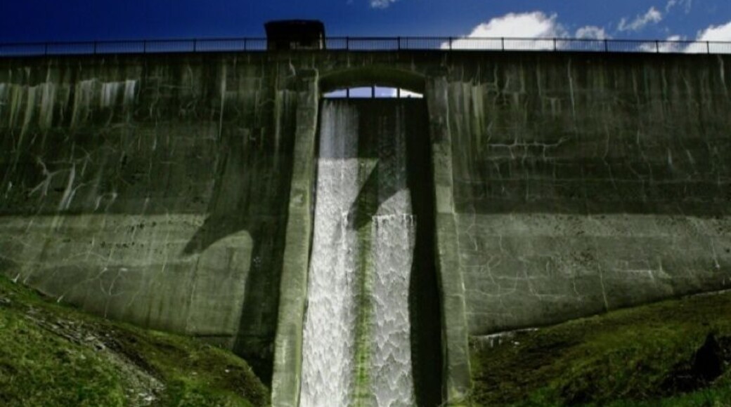 The dam is a breath-taking sight to find on the trails. Definitely a good idea to have a 4 wheel drive vehicle and plenty of bug spray!