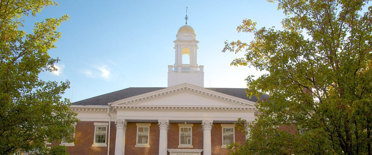 A town hall with a central dome and columns, surrounded by trees and people.