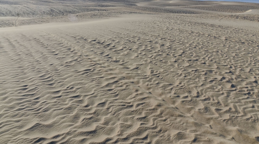 vast sand dunes on Pacific Ocean coast Oceano Dunes State Vehicular Recreation Area, San Luis Obispo county, California, USA